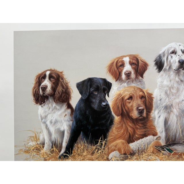 1980s 1980s Jim Killen Sporting Dog Art Great Retrievers Labs (29.5"x20") "Class Reunion" Open Edition For Sale - Image 5 of 7