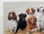 1980s 1980s Jim Killen Sporting Dog Art Great Retrievers Labs (29.5"x20") "Class Reunion" Open Edition For Sale - Image 5 of 7