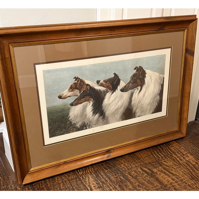 1901 Maud Earl “Four by Honours” Large Framed Collie Dog Print For Sale - Image 4 of 15