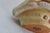 Tan Harmony Kingdom Roly Poly Gleason Goat Ram Box Figurine With Original Box 5123b For Sale - Image 8 of 17