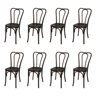 Set of 8 Early 20th Century Wojciechów Thonet Chairs For Sale