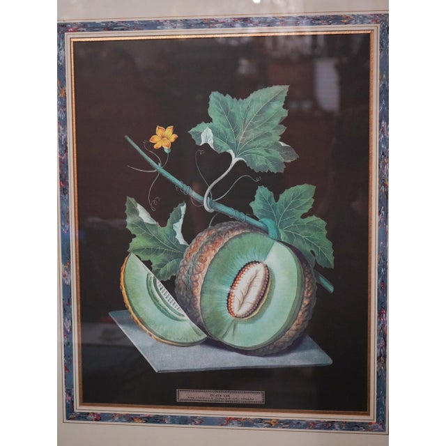 Pair of Fruit Prints by George Brookshaw For Sale - Image 4 of 15