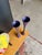 Wood Rare 1960 Verner Panton Vip-302-1 Candlesticks Svend Andersen Denmark Purple Reversible Wood Pair For Sale - Image 7 of 15
