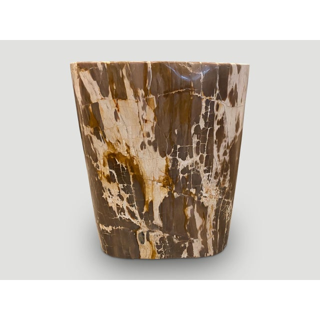 Andrianna Shamaris Ancient Petrified Wood Side Table For Sale - Image 4 of 6