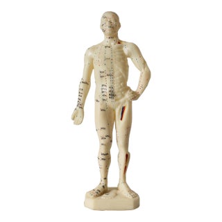 Vintage Acupuncture Mannequin For Sale