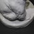 Ceramic Meissen White Glazed Seated Bear A1066 Porcelain Figurine by August Gaul For Sale - Image 7 of 12