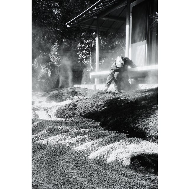 Taco, Monochrome Hase-Dera Temple, Kamakura, Kanagawa, 2024, Archival Pigment Print For Sale