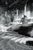 Taco, Monochrome Hase-Dera Temple, Kamakura, Kanagawa, 2024, Archival Pigment Print For Sale