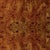 Brown Matthew Izzo Home Etta Dark Burl Wood Four Drawer Chest For Sale - Image 8 of 9