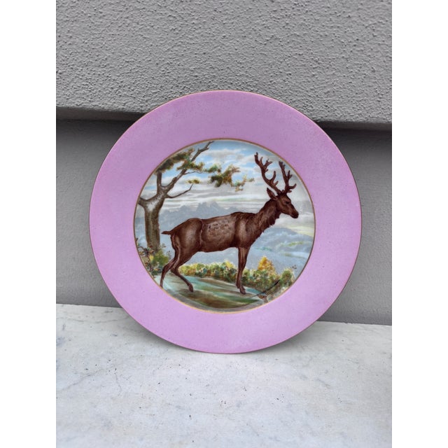 Rare French Porcelain Set of 8 Wild Animals Plates Haviland Limoges Circa 1890 For Sale In Austin - Image 6 of 12