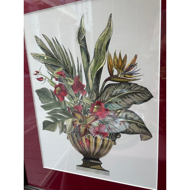 Serafini, Untitled, Paper, Framed, Set of 2 For Sale - Image 4 of 7