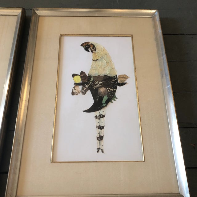 Mid-Century Modern Gallery Wall Collection-2 Vintage Butterfly Wing Parrot Collages in Custom Frames-A Pair For Sale - Image 3 of 7