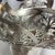 Antique Victorian Barbour Silver Co. Basket For Sale In Miami - Image 6 of 11