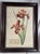 A handsome pair of large-scale botanical prints, each featuring a different flowering plant rendered in rich reds,...