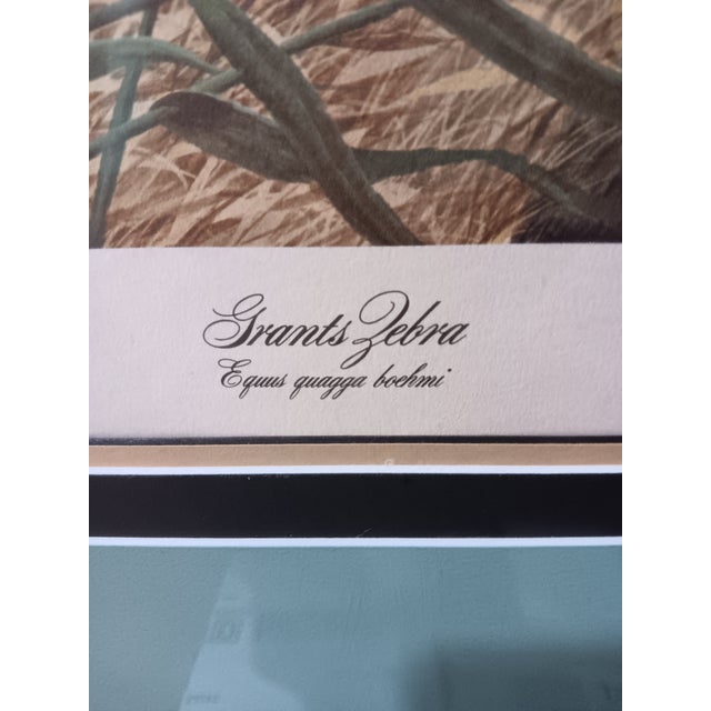 1970s John Ruthven "Grant's Zebra" Signed Numbered Lithograph, Framed For Sale In Savannah - Image 6 of 8