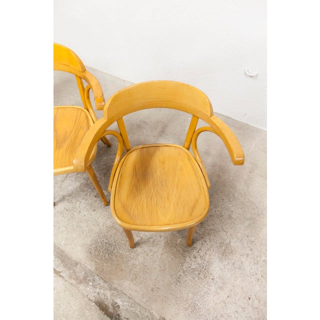 Vintage Bistro Armchairs, 1960s, Set of 4 For Sale - Image 13 of 18