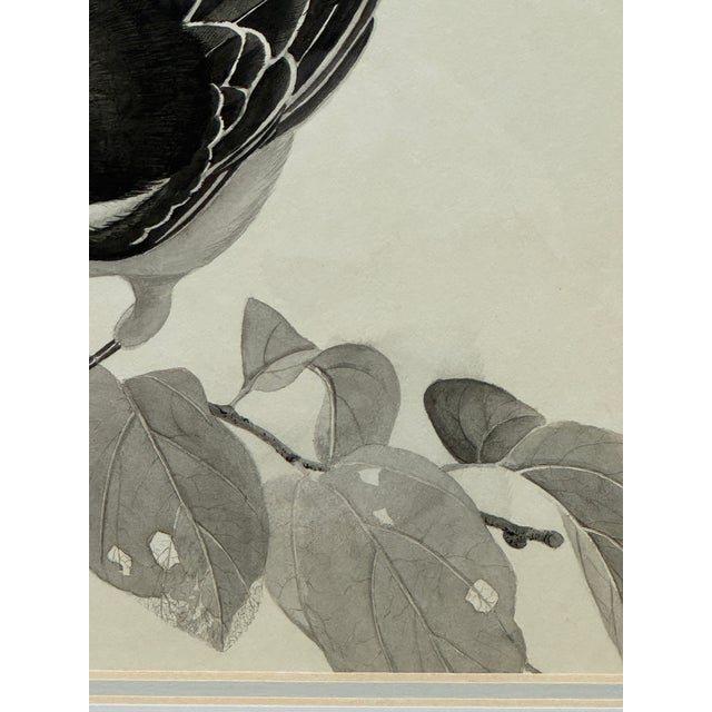 Larry Haines Loggerhead Shrike Series Bird Study Drawing, Framed For Sale - Image 9 of 12