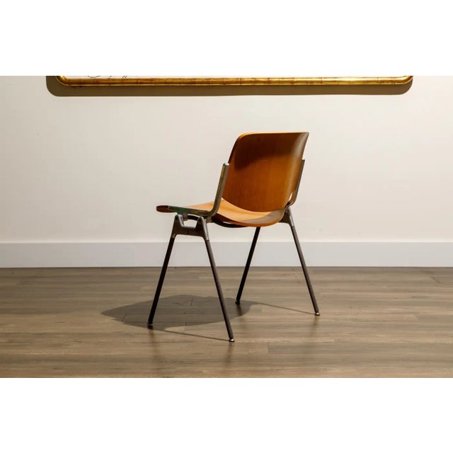Wood Giancarlo Piretti for Castelli 'Dsc 106' Stacking Dining Chairs, C 1965, Signed For Sale - Image 7 of 17