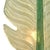 Murano Glass Green Leaf Sconces For Sale In Austin - Image 6 of 9