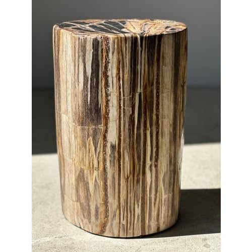 Wood Multicolored Petrified Wood Side Table For Sale - Image 7 of 18