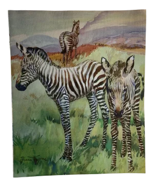 1937 Zebras Book Illustration by Diana Thorne