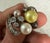 1990s Woman's Joseph Esposito Multi Color Pearl .925 Sterling Silver Ring Sz 6 For Sale In Atlanta - Image 6 of 7