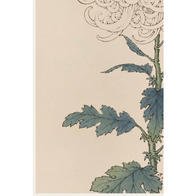 White Mum by Hasegawa, Vintage Japanese Botanical Art Print, 24" X 36" For Sale - Image 4 of 11
