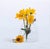 Blooming Days II by Karina Rodríguez | Oil on panel Still life of yellow flowers in a glass vase For Sale