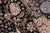 Black Botanical 1990's Pak-Persian Black/Gold Wool Round Rug- 8'2'' X 8'3'' For Sale - Image 8 of 9