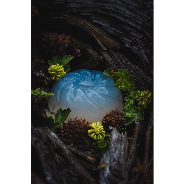 Jelly & Woods I by Jenya Chernoff | Giclée print on fine art paper Jelly in a natural setting with foliage. For Sale