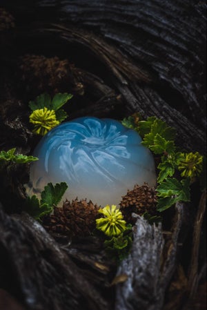 Jelly & Woods I by Jenya Chernoff | Giclée print on fine art paper Jelly in a natural setting with foliage.