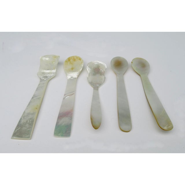 Vintage Mother of Pearl Varied Caviar Serving Spoons -Set of 5 For Sale - Image 4 of 6