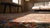 Traditional Ivory Background Color & Red-Rust Border Allover Pattern Antique Persian Bibikabad Galley Rug For Sale - Image 14 of 15