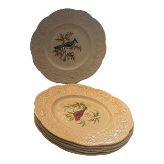 Set of 8 Royal Cauldon Dinner Plates “Aviary” Pattern Bristol Ironstone For Sale