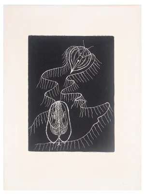 After Bona, Exalted Dalila, 1962, Original Engraving