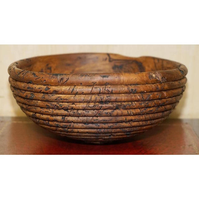 Large Burred Eucalyptus Bowl from B Moss For Sale - Image 13 of 15