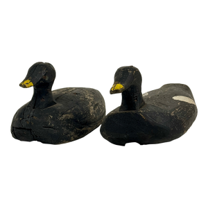 Pair of Early 20th Century C. E. Harding Duck Decoys