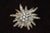 Mid-Century Modern Edelweiss Flower Brooch, 1990s For Sale - Image 3 of 7