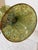 Cohn-Stone Studios Aurora Flared Art Glass Vase For Sale - Image 4 of 12