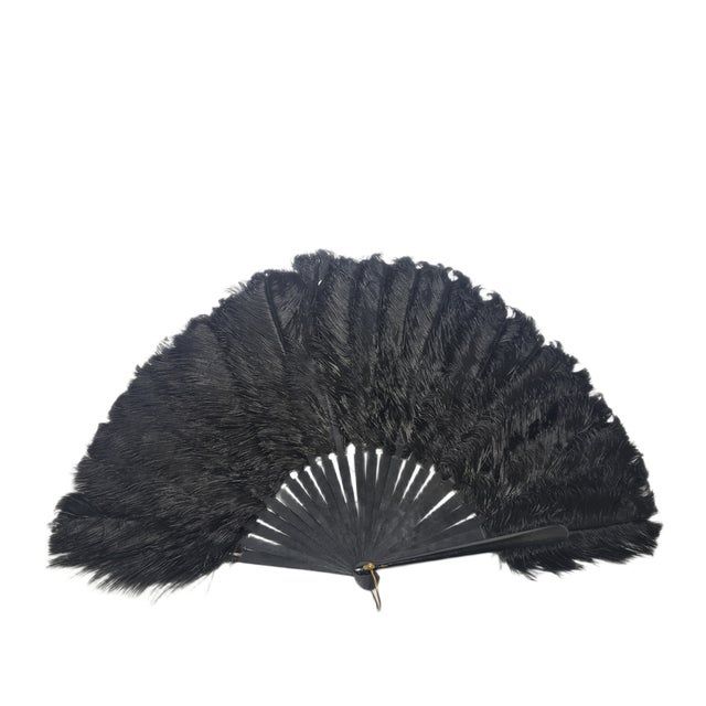 Wood Art Deco Polish Autriche Feather Fan, 1920s For Sale - Image 7 of 16