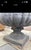 Vintage Ornate Cast Iron Garden Urn Planter With Scroll Handles & Aged Patina For Sale - Image 10 of 12