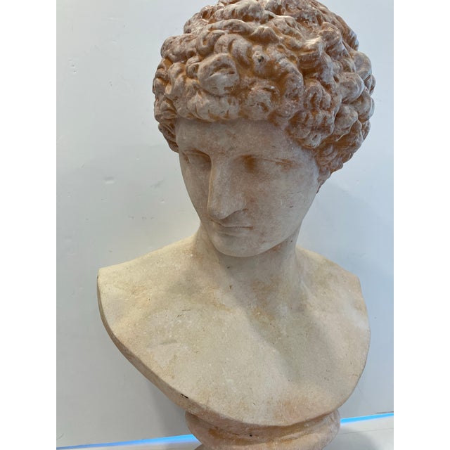 This terracotta sculpture was made in Italy. The portrait is possibly that of Antinous companion of The emperor Handrain