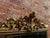 W: 103cm (40.6")h: 188cm (74")d: 3cm (1.2") a wonderful large antique english 19th century carved wood & gesso gilt mirror...