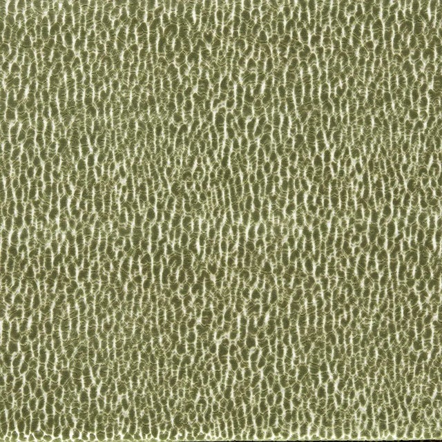 Harlequin Lacuna Fabric in Kelly For Sale