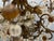 Italian Tole and Murano Glass Chandelier, 1960s For Sale - Image 14 of 15