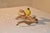 Circa 1960's hand carving of a Finch, mounted on driftwood. This is a lovely piece of folk art, made by a NC artist and...