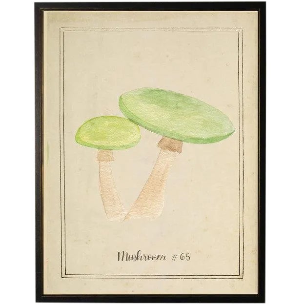 Green Mushrooms in Black & Copper Shadowbox 23 X 29 For Sale