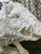 Large Cast Stone Wild Boar Garden Sculpture For Sale - Image 6 of 18