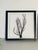 Black Two Natures Beauty Sez Brunches Framed For Sale - Image 8 of 9