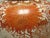 Burnt Orange 1950s Japanese Kutani Porcelain Ginger Jar Lamp For Sale - Image 8 of 15